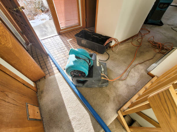 Trusted Avon Lake, OH Water damage restoration Experts