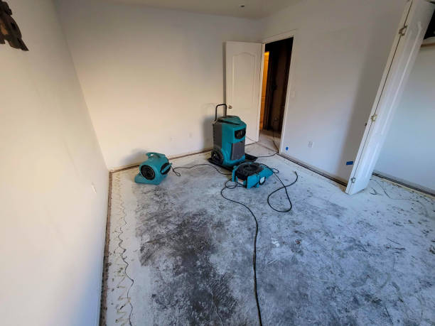  Avon Lake, OH Water damage restoration Pros
