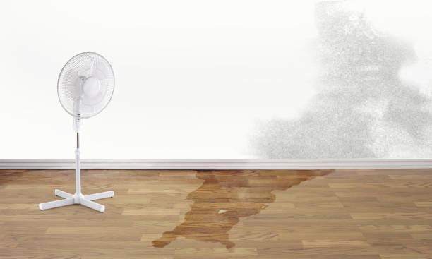 Best Flooded house restoration  in Avon Lake, OH