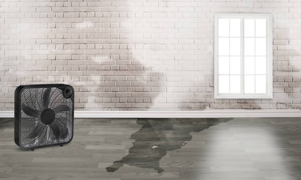 Best Water damage restoration services  in Avon Lake, OH