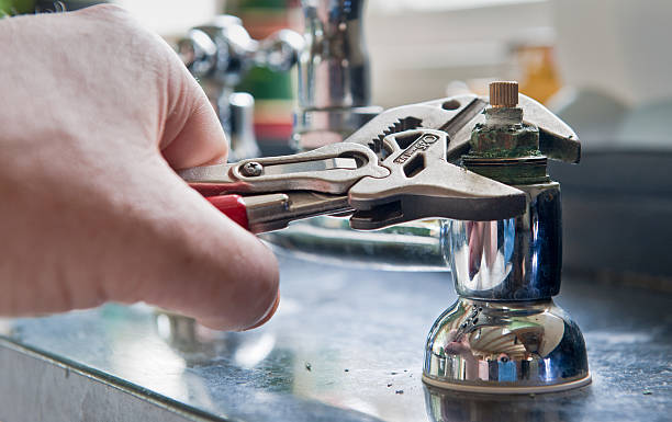 Best Professional water damage repair  in Avon Lake, OH
