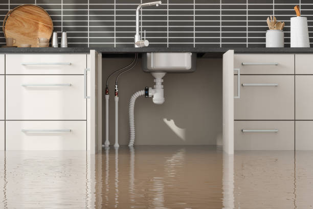 Best Flood damage cleanup  in Avon Lake, OH