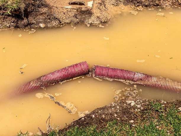 Best Local water damage restoration  in Avon Lake, OH