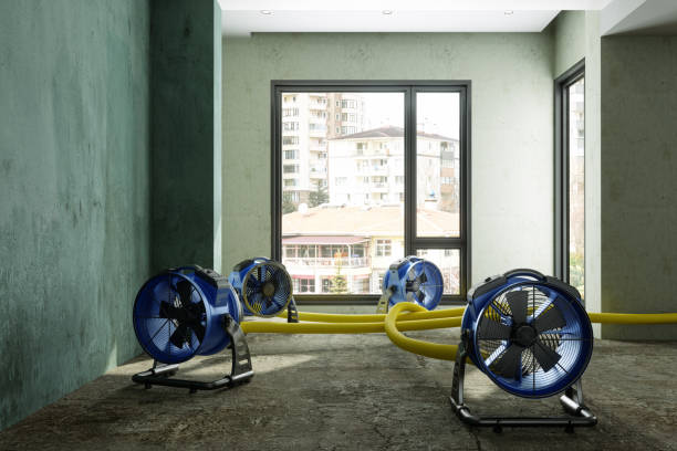 Best Water damage restoration specialists  in Avon Lake, OH